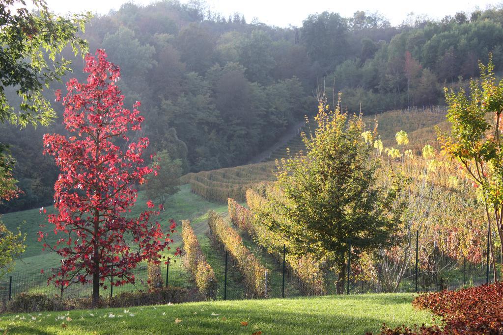 B&B Bricco Fiore Briaglia Bagian luar foto